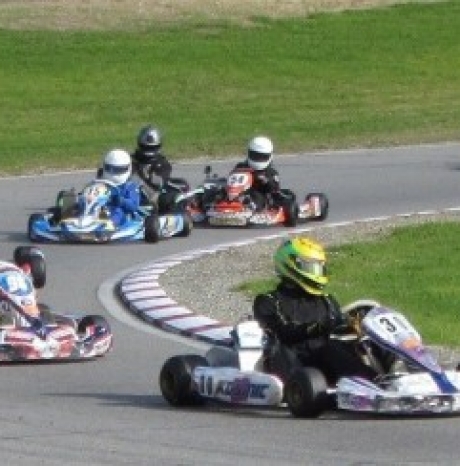 Carnival of karts May 2014